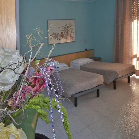 Hotel Salus