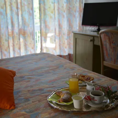 Hotel Salus