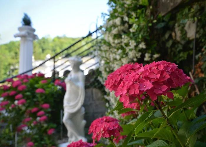 Hotel Salus Sant'Andrea Bagni